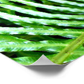 シダの毛皮 ポスター (角)