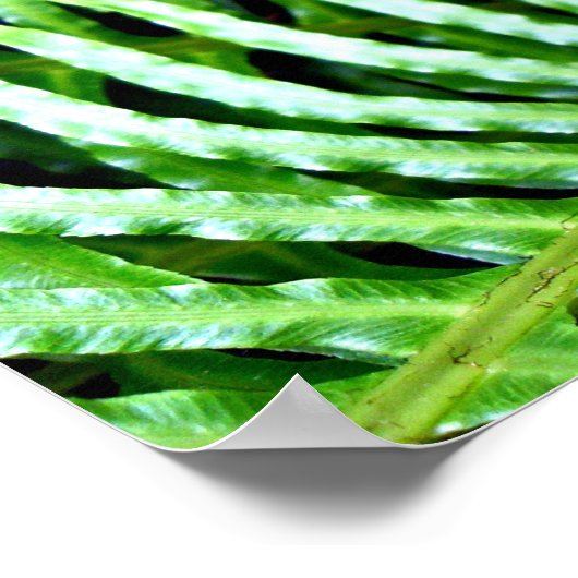 シダの毛皮 ポスター (角)