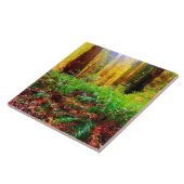 シダの水彩タイル三徳と日当たりの良いレッドウッド タイル (側面)