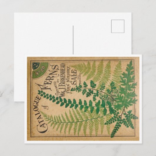 シダの目録 ポストカード (正面/裏面)