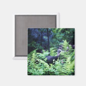 シダの磁石の母トルコ マグネット (正面/裏面)