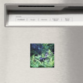 シダの磁石の母トルコ マグネット (インサイチュ (食洗機))