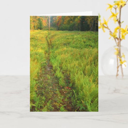 シダの秋の風景 カード (黄色い花)