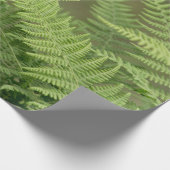 シダの緑 ラッピングペーパー (角)