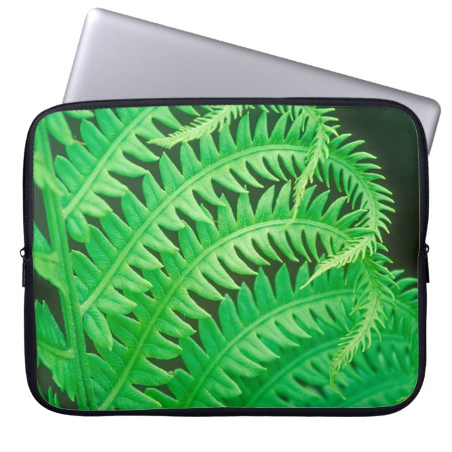 シダの縁飾りのクローズアップ写真 ラップトップスリーブ (正面)