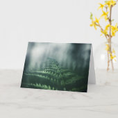 シダの自然写真 カード (黄色い花)