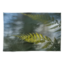 シダの自然写真