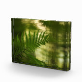 シダの自然写真 フォトブロック (右)