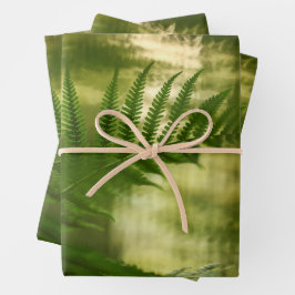 シダの自然写真 ラッピングペーパーシート