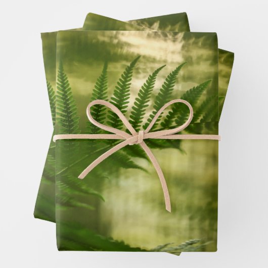 シダの自然写真 ラッピングペーパーシート (インサイチュ)
