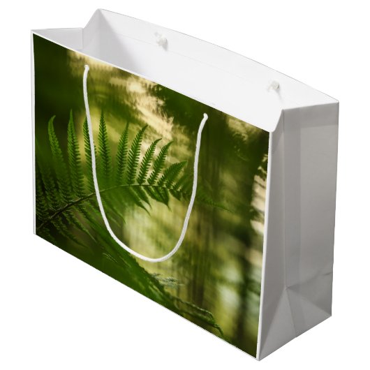 シダの自然写真 ラージペーパーバッグ (裏面アングル)