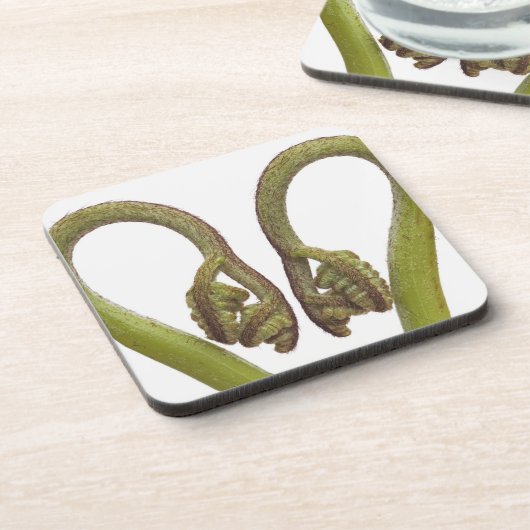 シダの芽2 コースター (左側)