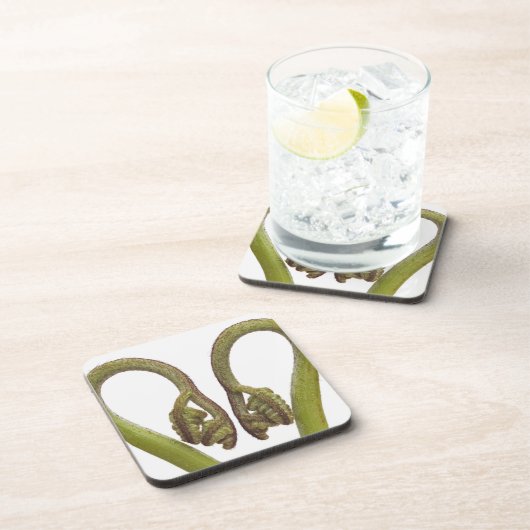 シダの芽2 コースター (右側)