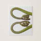 シダの芽2 ジグソーパズル (縦)