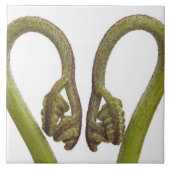 シダの芽2 タイル (正面)