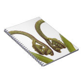 シダの芽2 ノートブック (右側)