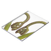 シダの芽2 ノートブック (左側)