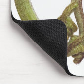 シダの芽2 マウスパッド (コーナー)