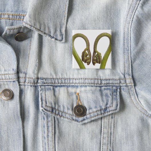 シダの芽2 缶バッジ (インサイチュ)