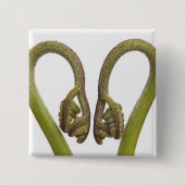 シダの芽2 缶バッジ (正面)