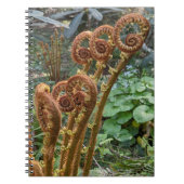 シダの若芽 ボタニカル ノートブック (正面)