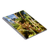 シダの葉状体のノート ノートブック (右側)