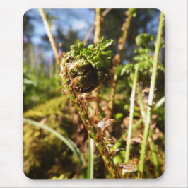 シダの葉状体のマウスパッド マウスパッド