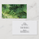シダの葉 名刺 (正面/裏面)