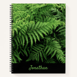 シダの葉(葉)と名前 ノートブック