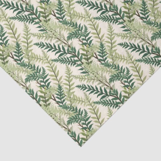 シダの葉 薄葉紙 (詳細)