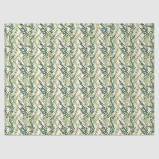 シダの葉 薄葉紙 (正面)