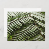 シダの葉 II 濃い緑の自然 (正面/裏面)