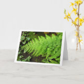 シダカード カード (黄色い花)