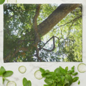 シダモミの木 緑 自然 キッチンタオル (折り畳み)