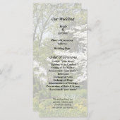 シダレザクラの花 プログラム (正面/裏面)