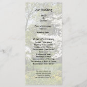 シダレザクラの花 プログラム (正面)