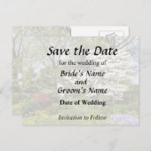 シダレザクラの花 案内ポストカード (正面/裏面)