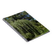 シダレヤナギの木 ノートブック (右側)