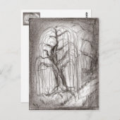 シダレヤナギ ポストカード (正面/裏面)