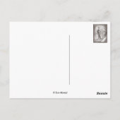 シダレヤナギ ポストカード (裏面)