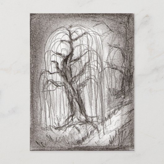 シダレヤナギ ポストカード (正面)