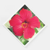 シダレヤマボウシの赤い花 (コーナー)