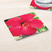 シダレヤマボウシの赤い花 スクエアペーパーコースター (アングル)