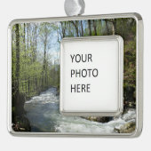 シダーア走ットホワイトオークキャニオン シルバープレートフレームオーナメント (左)