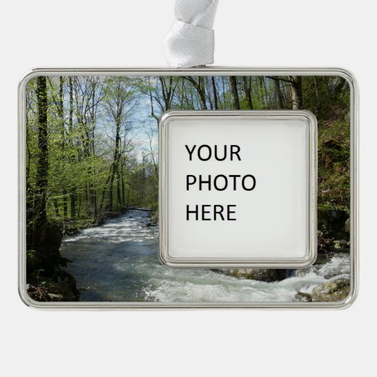 シダーア走ットホワイトオークキャニオン シルバープレートフレームオーナメント (正面)