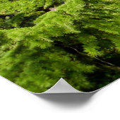 シダーオブレバノンツリーポスター ポスター (角)