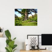 シダーオブレバノンツリーポスター ポスター (ホームオフィス)