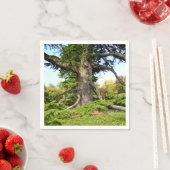 シダーオブレバノンツリー紙ナプキンス スタンダードカクテルナプキン (インサイチュ)