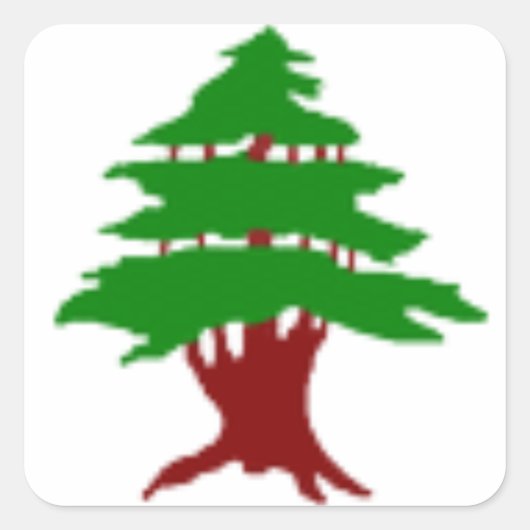 シダーオブレバノン スクエアシール (正面)