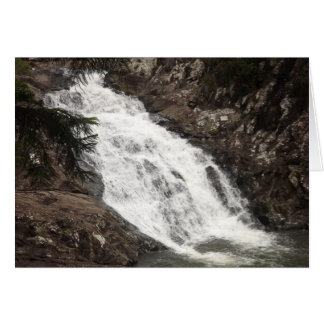 シダークリーク滝